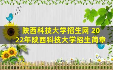 陕西科技大学招生网 2022年陕西科技大学招生简章